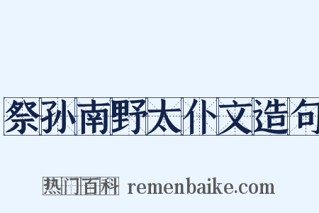 祭孙南野太仆文造句是什么意思的图片